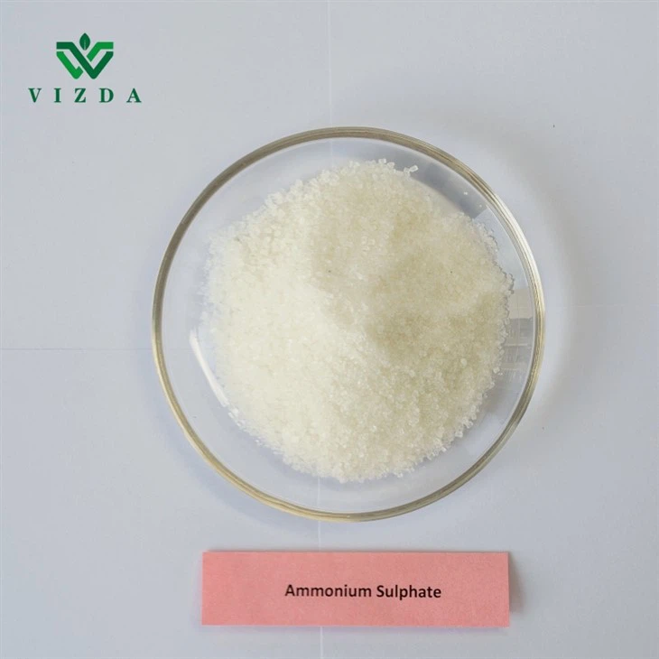 Amonyòm Sulfat Crystal angrè