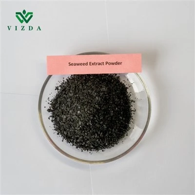 Èkstre alg nwa soluble