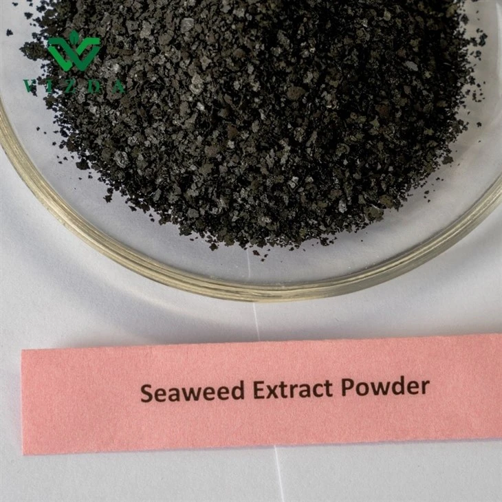 Water Soluble Agro Fertilizer Seaweed Extract